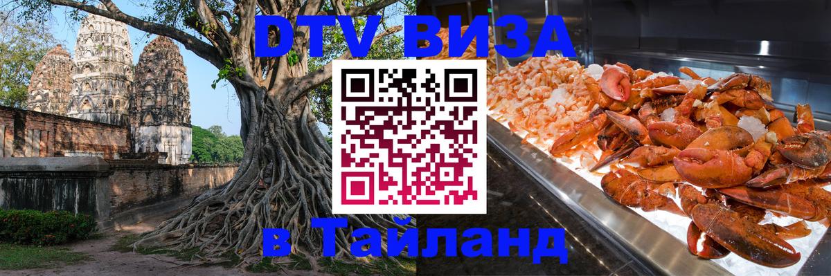 Оформление DTV визы под ключ: стоимость и тарифы, только загранпаспорт - Кисловодск 